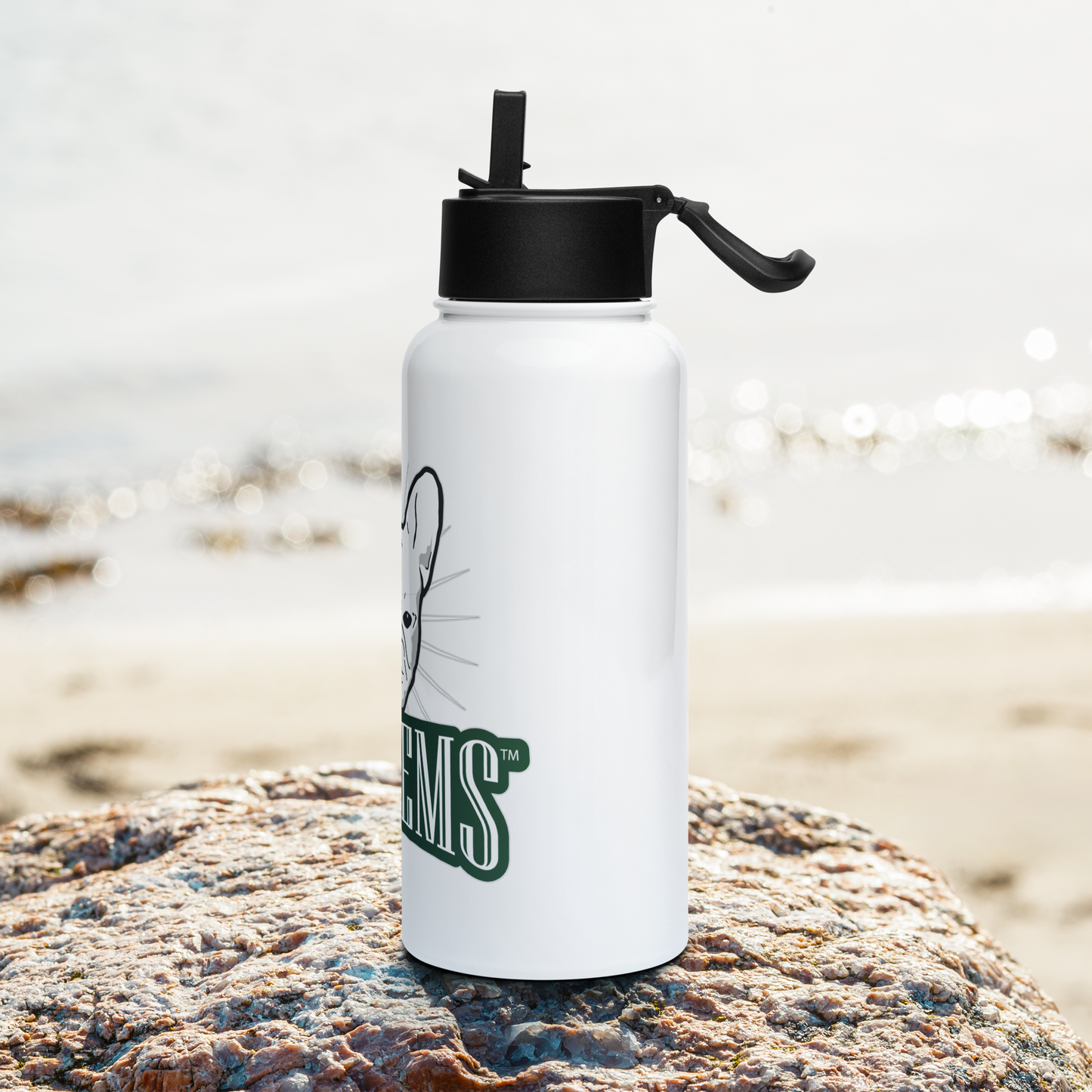 Rakkems Water Bottle – Hydration for the Bold